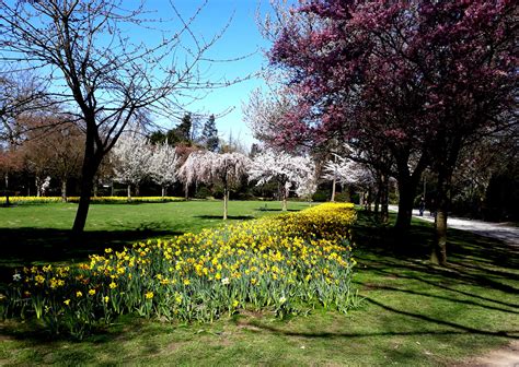 Der bunte garten ist ein stadtpark in der innenstadt von mönchengladbach. Frühling im Bunten Garten Foto & Bild | deutschland ...