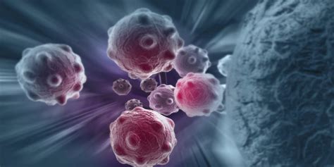 A New Weapon For The War On Cancer Biotech Times
