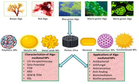 Biomolecules Free Full Text An Overview Of The Algae Mediated