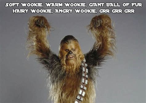 Soft Wookie Scary Meme Best Memes Funny Memes Meme Meme Best