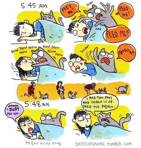 The Morning Routine 9gag