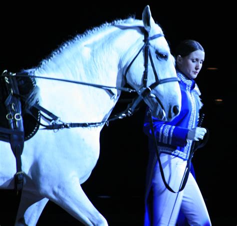 Lip8 The World Famous Lipizzaner Stallions World Tour 2008 Flickr