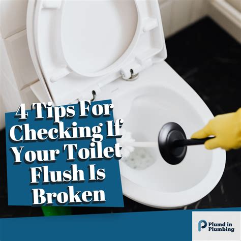 Check If Toilet Flush Is Broken Plumd In Plumbing