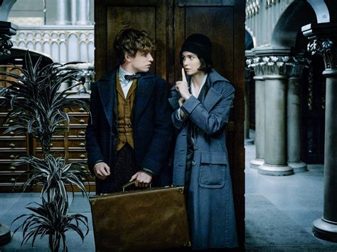 The Fantastic Beasts Cast And How To Avoid Them End The Franchise