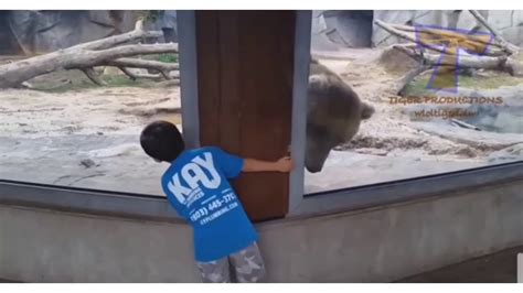 Funny Kids At The Zoo Youtube
