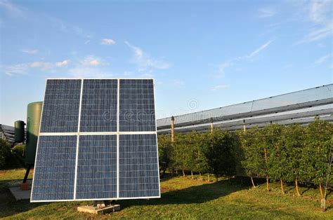 Solar Panel For Generating Electricity In The Apple Orchard With