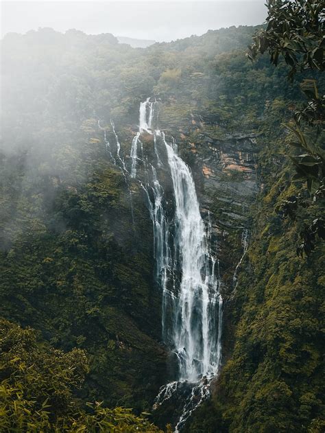 Waterfalls In Forest River Shimoga Falls Hd Phone Wallpaper Pxfuel