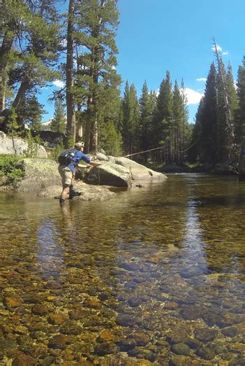 Fly Fish Fly Fishing In Yosemite National Park Sierra Fly Fisher