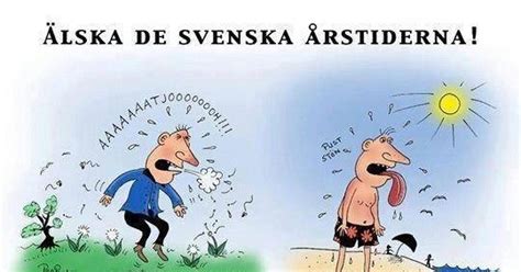 alska de svenska skämt och de bästa roliga bilderna