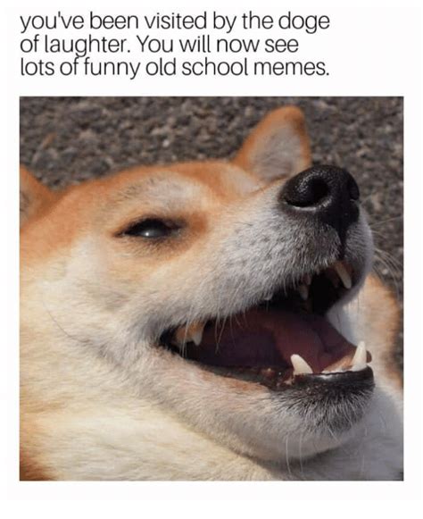 Youve Been Visited By The Doge Of Laughter You Will Now See Lots Of