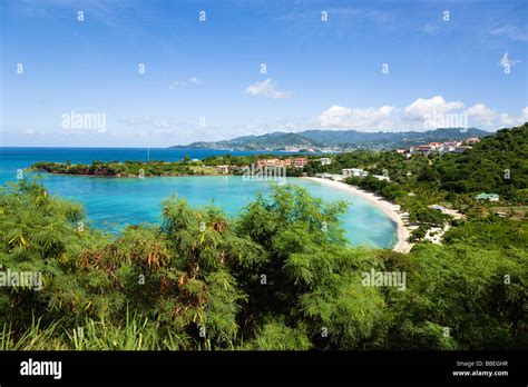 West Indies Caribbean Grenadines Grenada St George Aquamarine Sea And Tree Lined White Sand Of