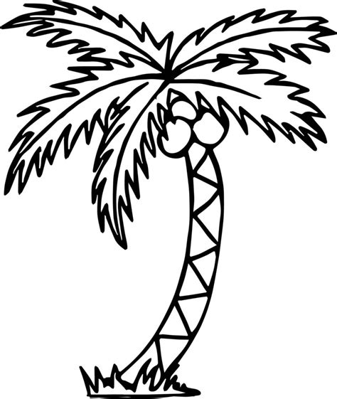 Palm Tree Coloring Page For Toddlers Leaf Pageut Leaves Stencil Free
