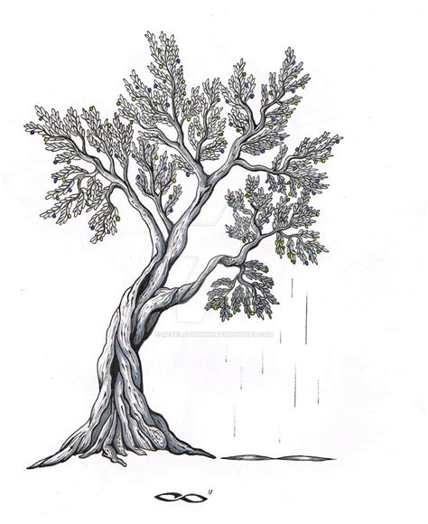 Olive Tree By Revelationink On Deviantart