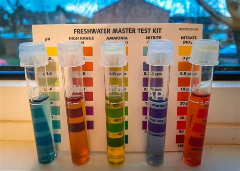 How To Test Water Quality At Home Your Complete Guide World Water