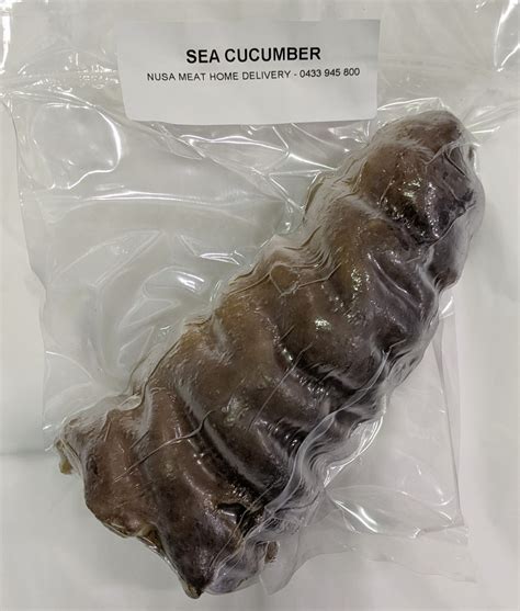 Sea cucumbers holothuriidae holothuria edulis. SEA CUCUMBER 海参 - NUSA MEAT