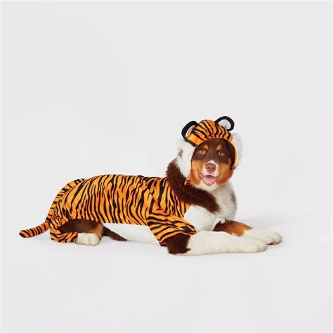 Get Ready For Our List Of Our Favorite Dog Tiger Costumes