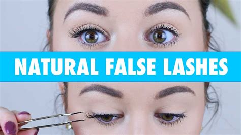The lashes towards the outer corner of your eye should be the longest. How To Apply False Lashes Without Eyeliner - YouTube