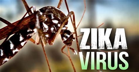 Ministry Recommends Safe Sex Against Zika Caribbean Press Release