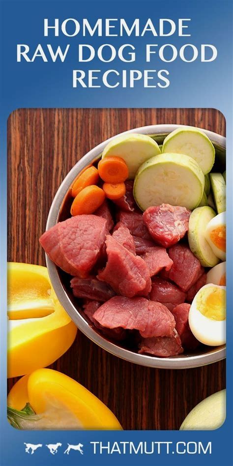 Diy Homemade Raw Dog Food Recipes And A Basic Guide On How To Get