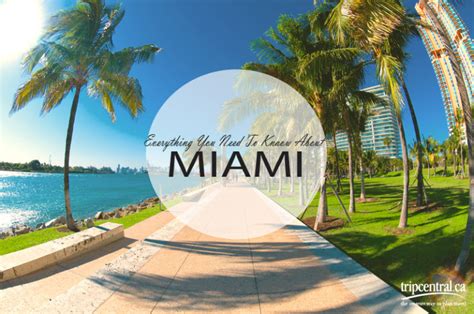 Everything You Need To Know About Miami Trip Sense Tripcentralca