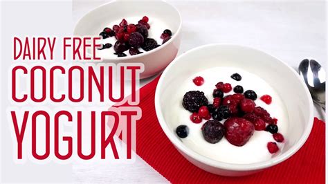 Dairy Free Easy Coconut Yoghurt Recipe Paleo Vegan And Healthy Youtube