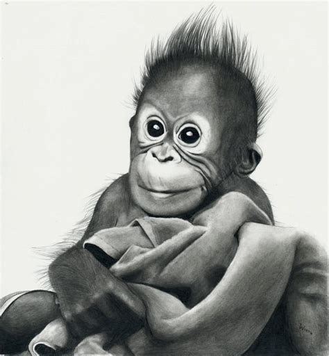 Baby Orangutan By Nukeo On Deviantart