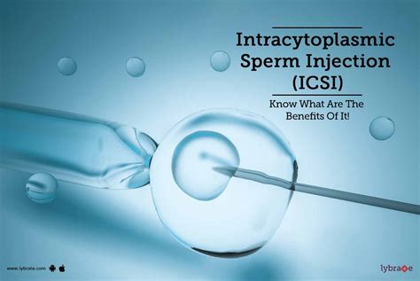 Intracytoplasmic Sperm Injection Icsi Know What Are The Benefits Of