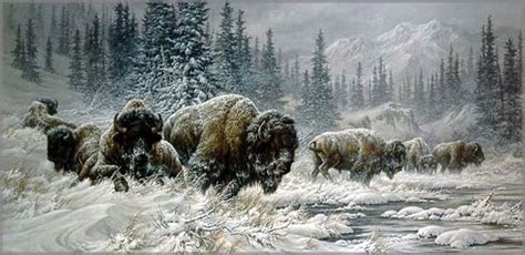 Front Range Storm Colorado Buffalo Naturesscene