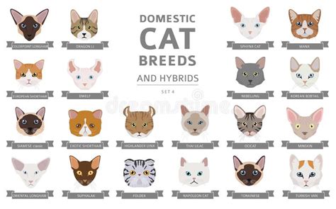 Domestic Cat Breeds And Hybrids Portraits Collection Isolated On White