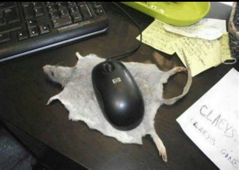 A Mousepad Rpuns