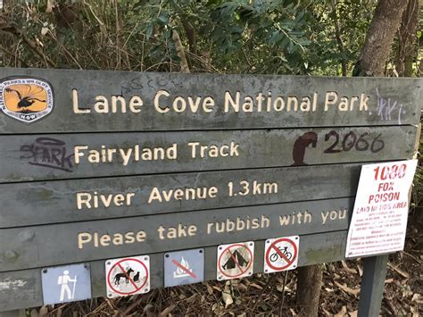 Lane Cove National Park Fairyland Loop Track Bitesize Traveller