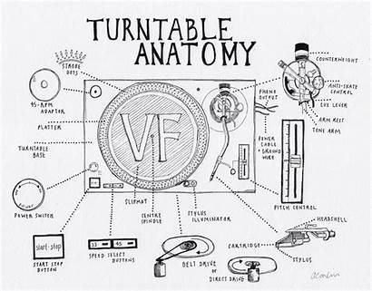 Turntable Record Player Vinyl Anatomy Parts Drawing
