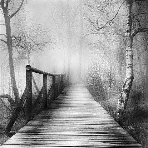 A Black And White Photo Of A Wooden Bridge In The Woods On A Foggy Day