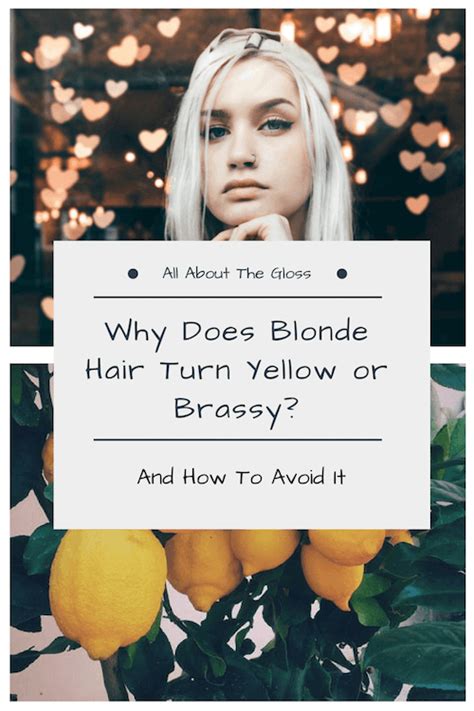 Why Does Blonde Hair Turn Yellow Or Brassy All About The Gloss Blonde Hair At Home Brassy