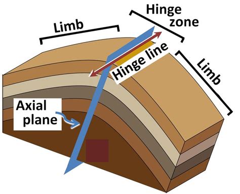 Fold Diagram Fold Geology Geology Geophysics