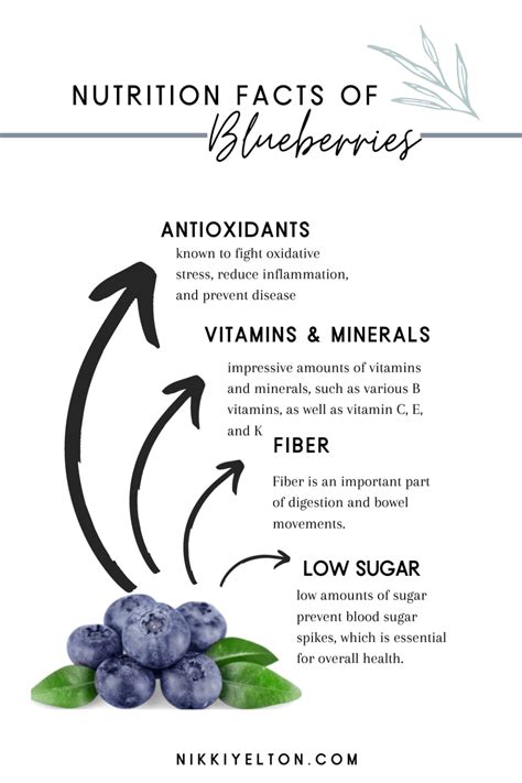 5 amazing health benefits of blueberries you might not know nikki yelton rd