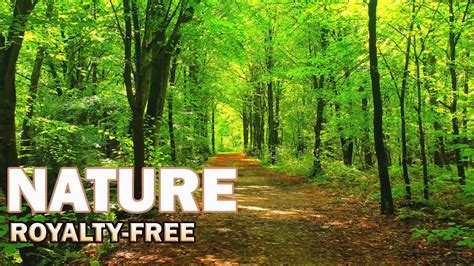 15 Beautiful Nature Stock Footage Royalty Free No Copyright Free