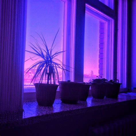 861 Best Images About Purple Aesthetic On Pinterest