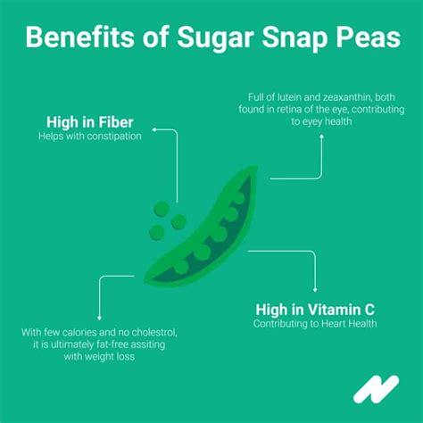 Sugar Snap Peas The Highly Nutritious And Beneficial Snack