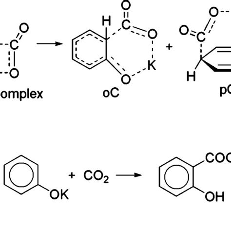 A Intermediates In The First And Second Stages Of The Carboxylation