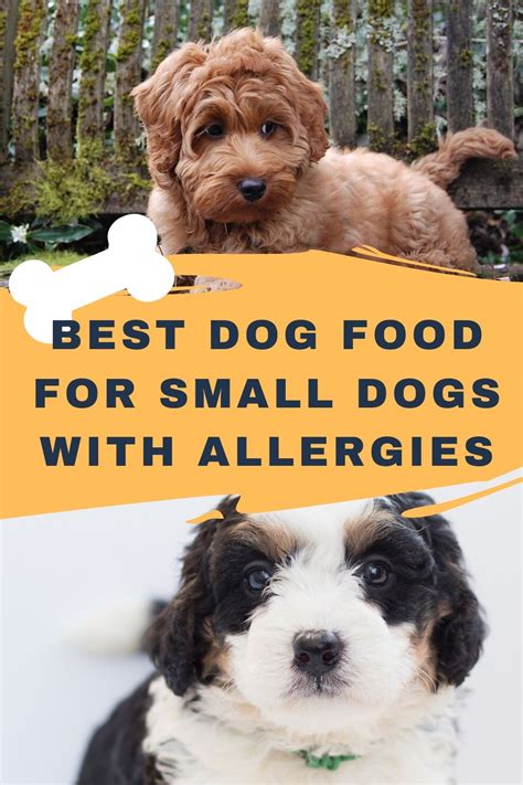Through your veterinarian or dog food brand, you can obtain a registration status to receive updates about the current dog food you use. Best Dog Food For Small Dogs With Allergies - UPDATED 2020
