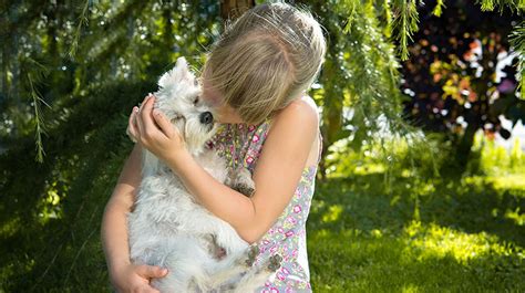 Can cats help autistic people? How Service Dogs Can Help Kids with Autism and ADHD