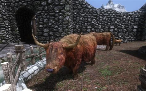 Highland Cow Retex At Skyrim Nexus Mods And Community