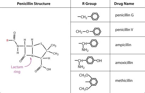 Types Of Penicillin Bing Images Medicinal Chemistry Organic