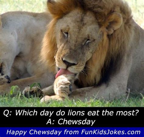 7 Best Funny Kids Animal Jokes To Share Images On