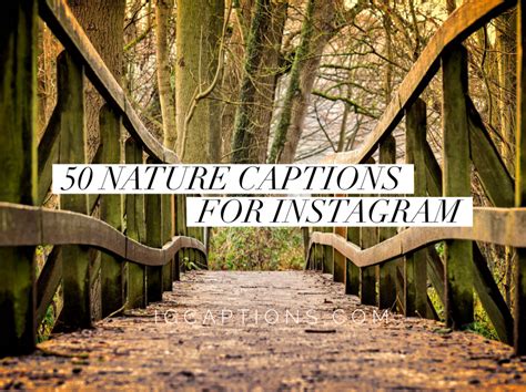 100 Instagram Cute Green Nature Quotes Caption Bijak