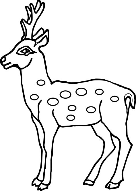 Deer Outline Clipart Buck Head Antelope Silhouette Clip Printable Easy