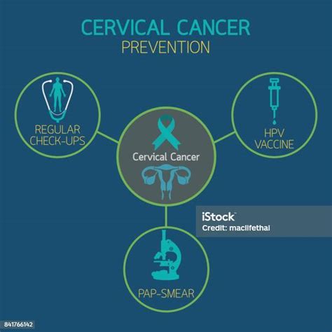 宮頸癌預防圖示向量圖向量圖形及更多子宮頸癌圖片 子宮頸癌 信息圖形 子宮頸 istock