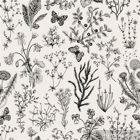 Wall Mural Vector Vintage Seamless Floral Pattern Herbs And Wild