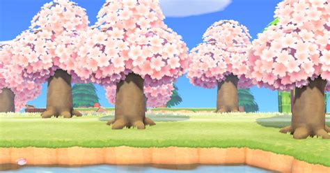 How To Get A Cherry Blossom Tree Acnh Animal Crossing New Horizons